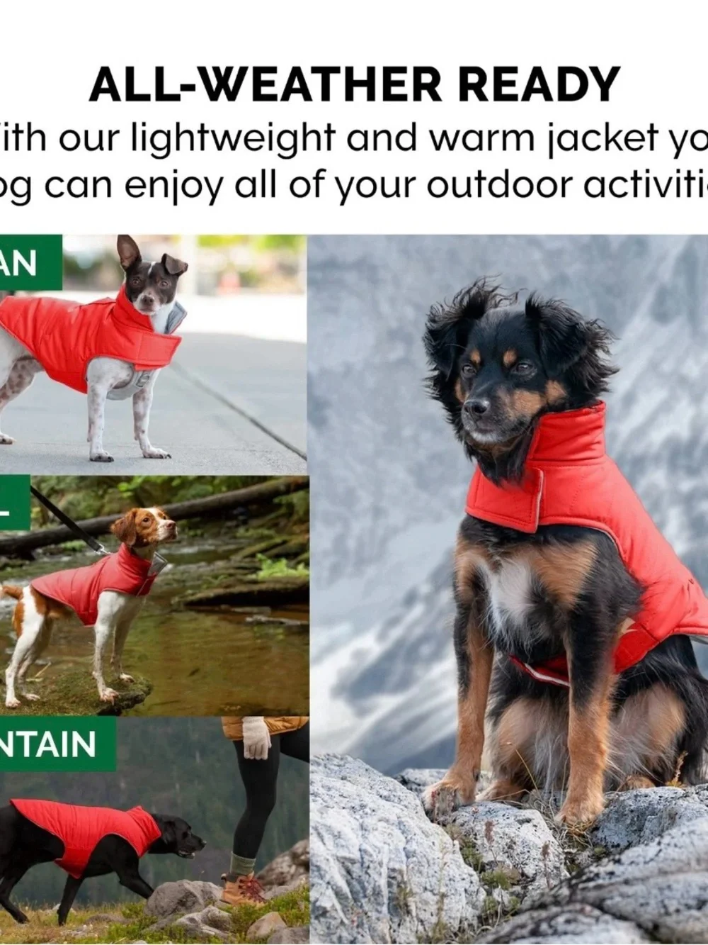 Red Quilted Dog Coat - Warm & Water-Resistant XL see pics for sizing
